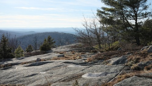 A rocky landscape with sparse trees and distant mountains under a clear sky.