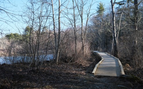 A wooden boardwalk winds through a wooded area beside a calm body of water, surrounded by bare trees.