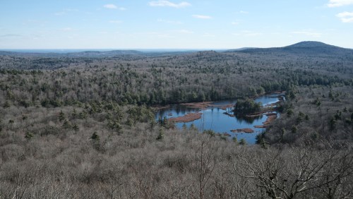 A panoramic view of a forested landscape with a calm lake and distant hills under a clear blue sky.