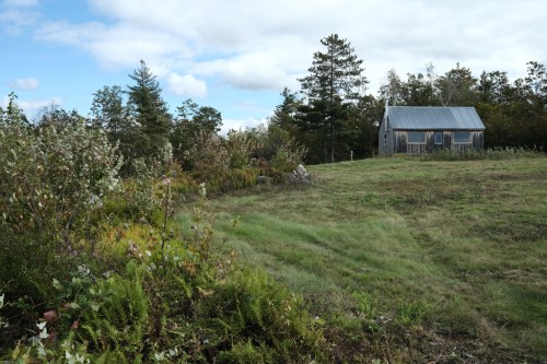 A small wooden cabin surrounded by greenery and trees under a partly cloudy sky.
