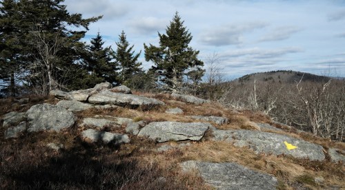 Rocky terrain with scattered boulders, surrounded by trees and a distant mountain under a cloudy sky.