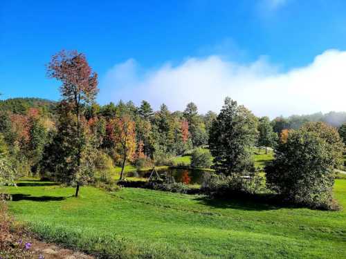 A serene landscape featuring a pond surrounded by trees with autumn foliage under a clear blue sky.