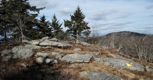 A rocky landscape with scattered trees and a distant hill under a cloudy sky. A yellow marker is visible on a rock.