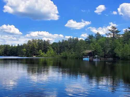 A serene lake surrounded by lush trees and fluffy clouds, reflecting the blue sky and greenery on the water's surface.