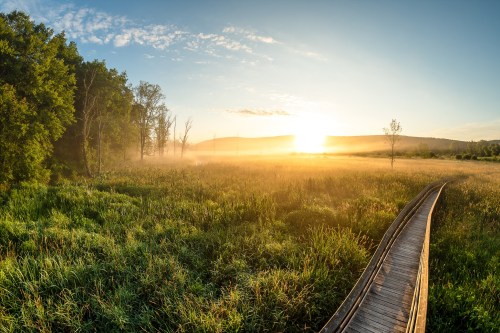 A wooden boardwalk leads through a misty field at sunrise, with trees and hills in the background.