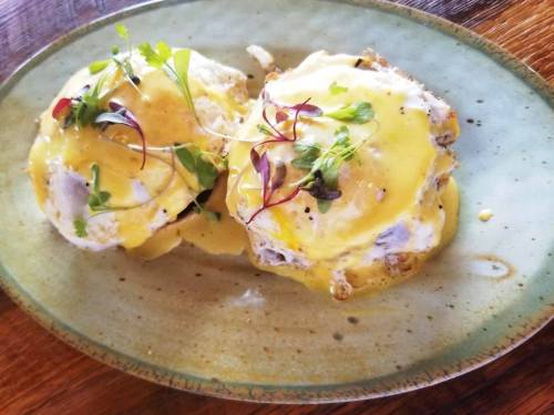 Two eggs Benedict on a green plate, topped with hollandaise sauce and garnished with microgreens.