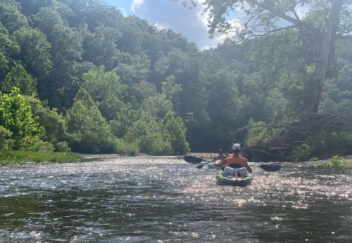 A person kayaking on a serene river surrounded by lush green trees and a bright blue sky.