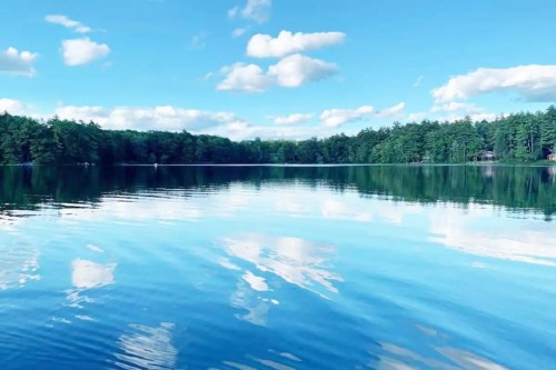 A serene lake reflecting a blue sky with fluffy clouds, surrounded by lush green trees.