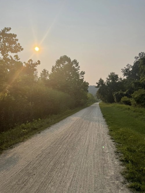 A sunlit path lined with trees, leading into the distance on a clear, hazy day.