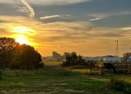 A serene sunrise over a rural landscape, with a horse near a fence and a windmill in the background.