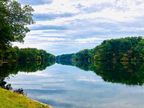 A serene lake reflecting trees and a cloudy sky, surrounded by lush greenery on both sides.