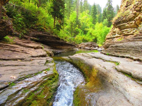 A serene landscape featuring a winding stream surrounded by lush greenery and rocky cliffs.