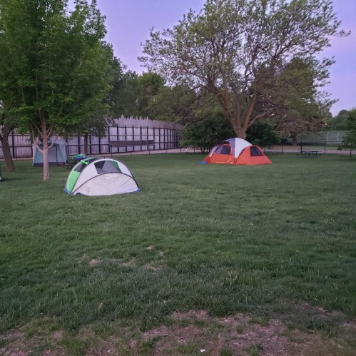 A grassy area with several tents set up under trees, surrounded by a park-like environment.