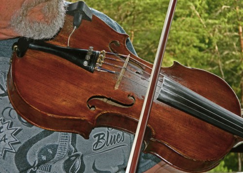 A close-up of a person playing a violin, showcasing the instrument's wooden body and strings against a natural background.