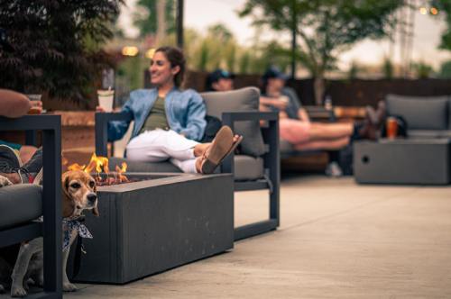 A dog sits by a fire pit while a woman relaxes on a couch in a casual outdoor setting.