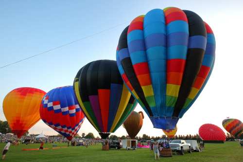 Colorful hot air balloons are inflated and ready for flight in a grassy field, with a crowd in the background.