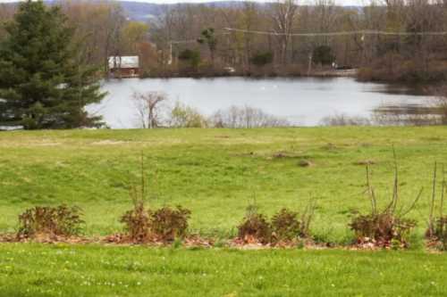 A serene lake surrounded by greenery and trees, with a small building visible in the background.