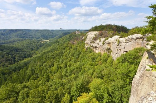A scenic view of lush green hills and cliffs under a partly cloudy sky, with a bird soaring in the distance.