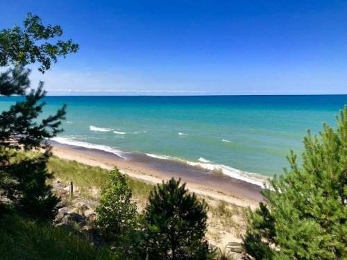 A serene beach scene with turquoise water, gentle waves, and green trees lining the sandy shore under a clear blue sky.