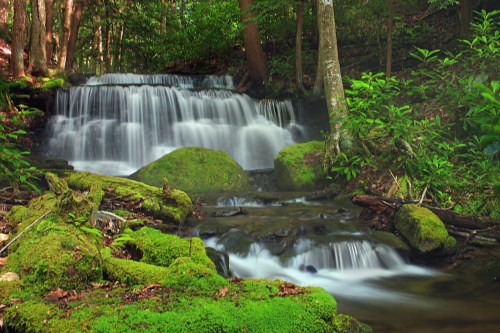 A serene waterfall cascades over moss-covered rocks in a lush, green forest.