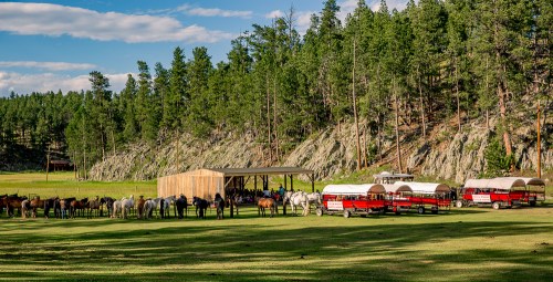 A group of horses and people near a wooden shelter and wagons, surrounded by tall trees and a grassy field.