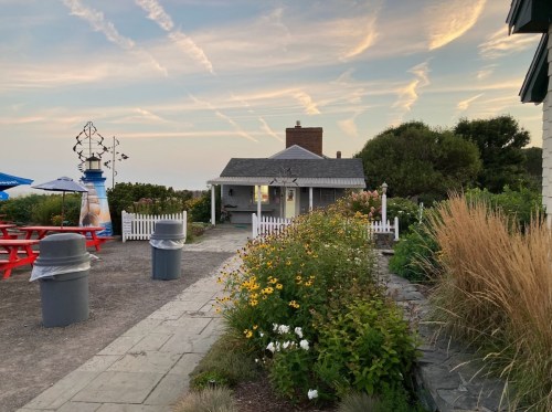 A cozy cottage surrounded by flowers and picnic tables, with a scenic sky in the background.