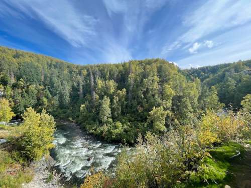 A scenic view of a river flowing through a lush forest with vibrant green and yellow trees under a blue sky.