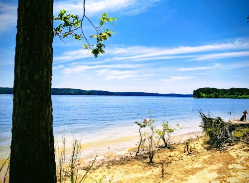 A serene lakeside view with clear blue water, sandy shore, and trees under a bright sky.