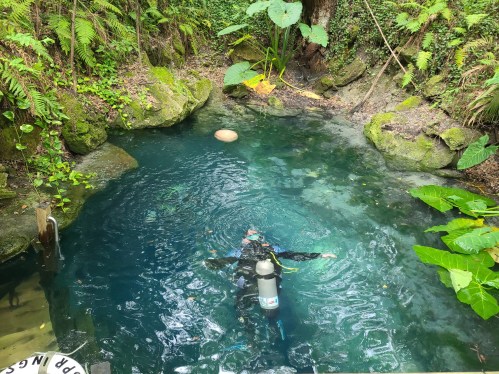 A diver explores a clear, blue spring surrounded by lush greenery and rocks.