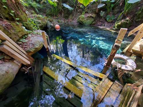 A serene natural pool surrounded by lush greenery, featuring wooden planks and a buoy floating on the water's surface.