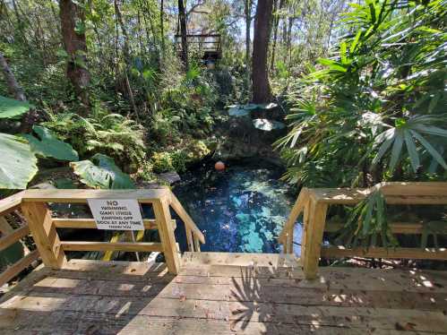 A wooden platform overlooks a serene, lush green area with a clear blue pond and tropical plants surrounding it.