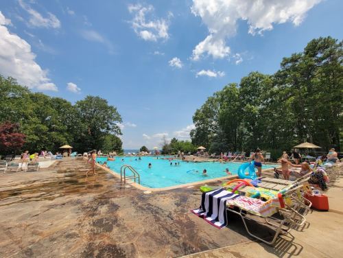 A sunny pool scene with people swimming, lounging on chairs, and colorful towels draped over the side. Lush trees in the background.