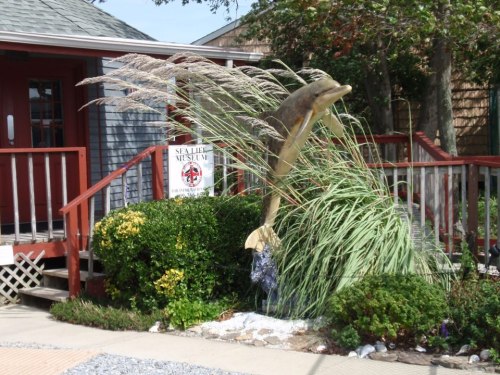 A dolphin sculpture leaps from greenery in front of a building with a sign for a sea life museum.