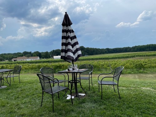 A table with four chairs under a striped umbrella, set in a grassy area with a vineyard in the background.