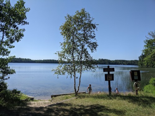A serene lake view with a tree, grassy shore, and signs, under a clear blue sky. People are enjoying the water.