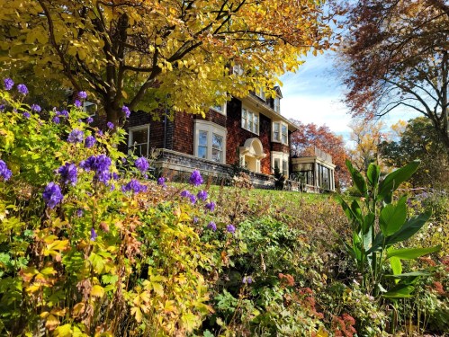 A charming house surrounded by vibrant autumn foliage and colorful flowers in a sunny garden setting.
