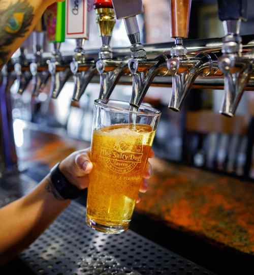 A hand pours a golden beverage into a glass at a bar with multiple beer taps in the background.