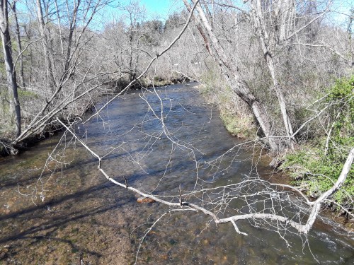A serene river flows through a wooded area, surrounded by bare trees and greenery along the banks.