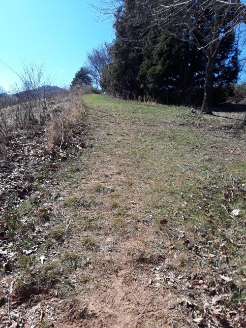 A grassy path leads uphill, surrounded by sparse trees and dry leaves under a clear blue sky.