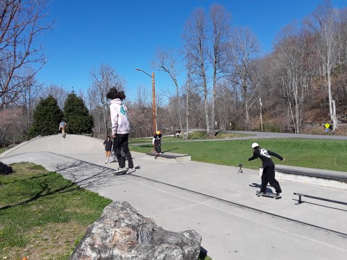 A skate park scene with several skaters performing tricks on ramps under a clear blue sky. Trees line the background.