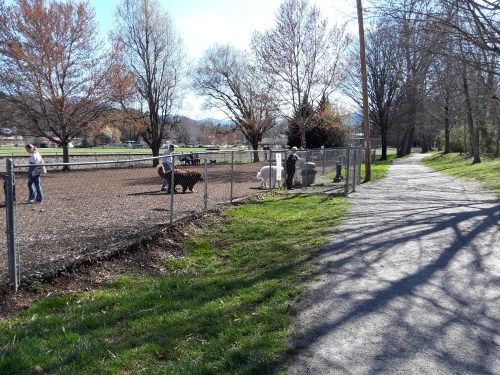 A fenced area with people interacting with animals, surrounded by trees and a walking path on a sunny day.
