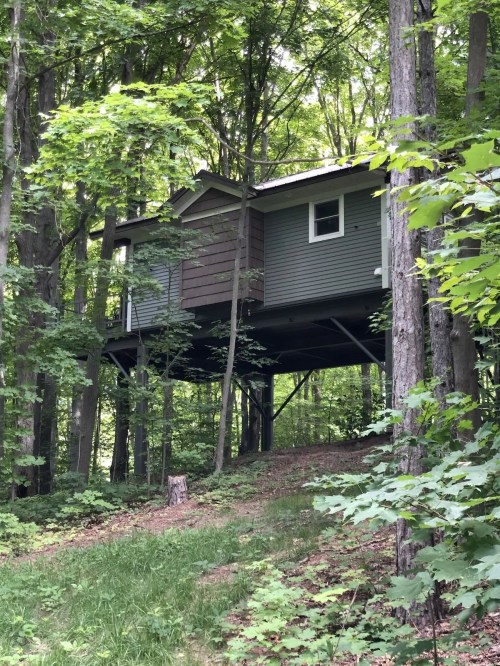 A small house elevated on stilts, surrounded by lush green trees in a forested area.