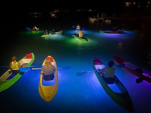 A group of people kayaking at night, illuminated by colorful lights in the water, creating a vibrant atmosphere.