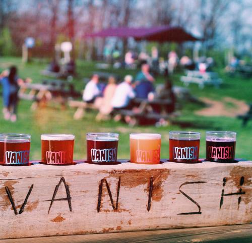 A row of colorful craft beer samples on a wooden table with "VANISH" carved into it, set in an outdoor park.