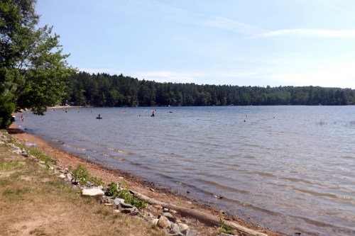 A serene lake scene with people swimming, surrounded by trees and a sandy shore under a clear blue sky.