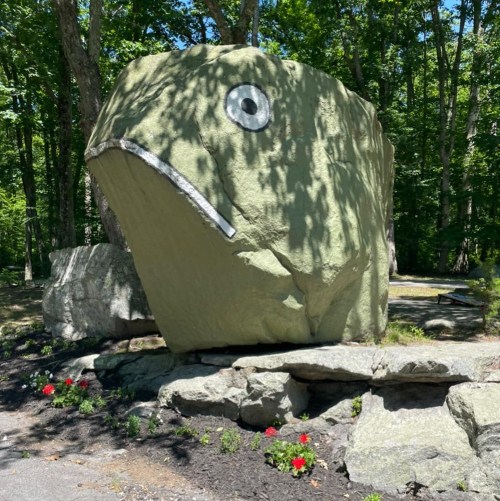 A large rock shaped like a fish, with a painted eye, surrounded by greenery and flowers.