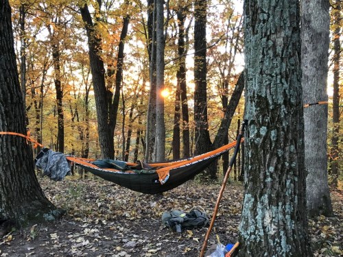 A hammock hangs between two trees in a forest, with autumn leaves and a sunset in the background.