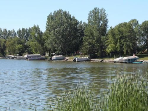 A serene lake scene with boats docked along a tree-lined shore under a clear blue sky.