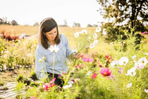 A woman in a blue shirt tending to colorful flowers in a sunny garden.