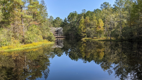 A serene pond reflecting trees and a building, surrounded by vibrant autumn foliage under a clear blue sky.